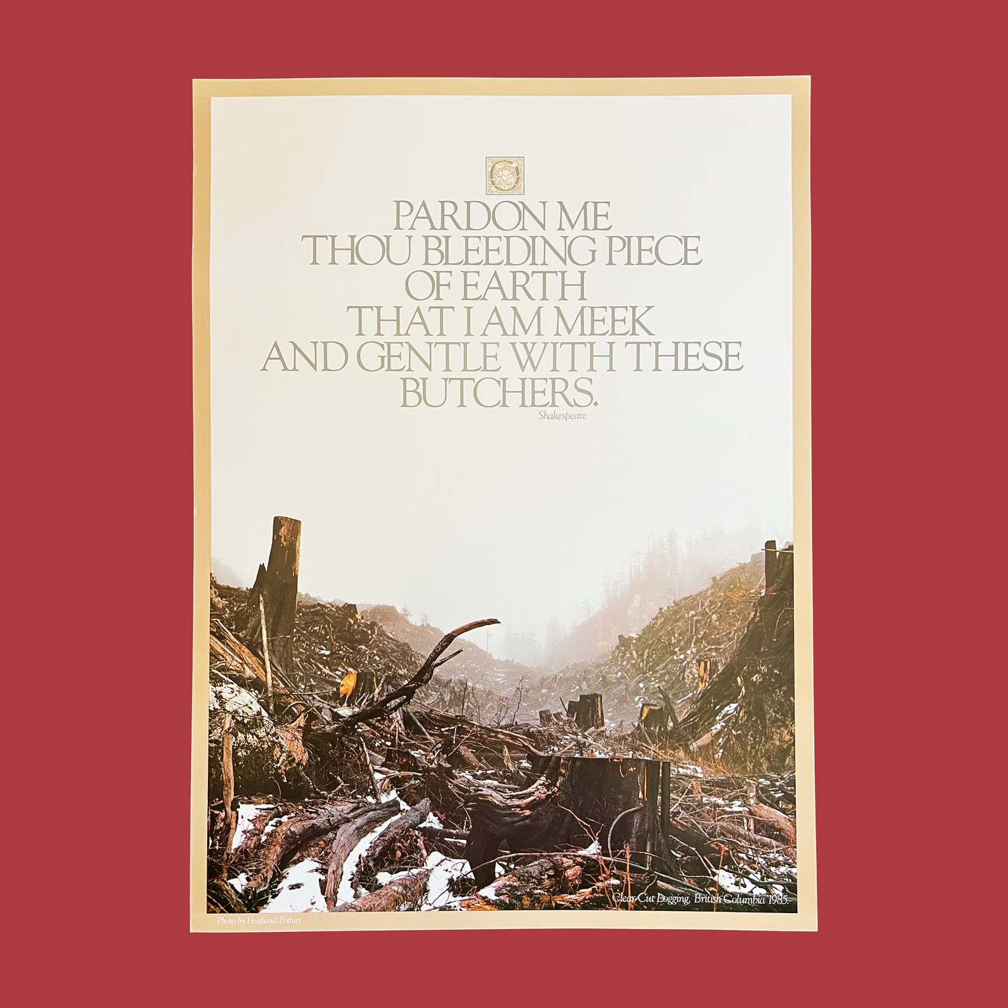 Clear Cut Forest 1984 British Columbia Poster