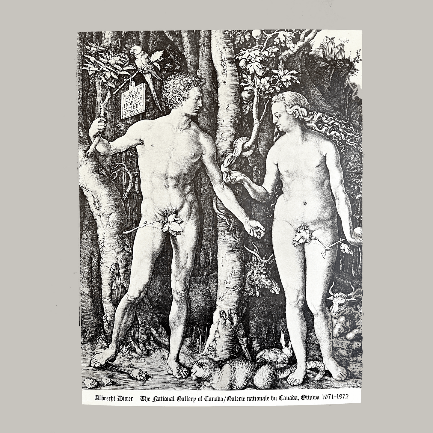 Albrecht Durer 1971 National Gallery of Canada Poster