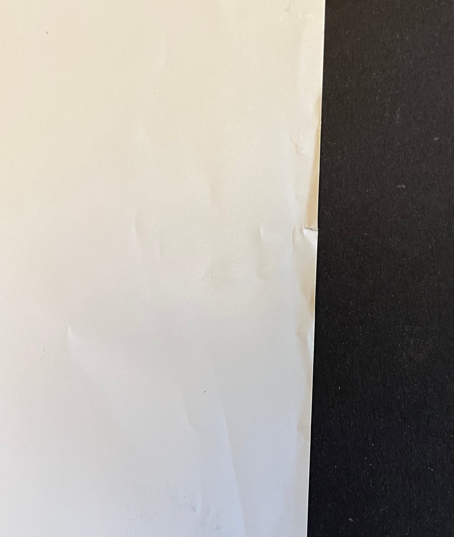 Joyce Weiland 1987 Art Gallery of Ontario Poster